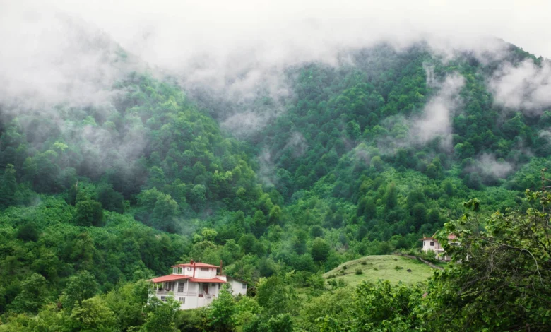Explore Iran Natural Wonders And Most Breathtaking Landscapes 1 A Magical Landscapes Of Jungle In The North Of Iran Which Its Peak Covered By Fog