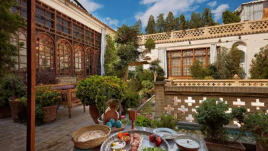 Chicken kebab with vegetables at a boutique hotel terrace, Isfahan