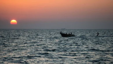 The Seaside Scenery In Bushehr, Southern Iran