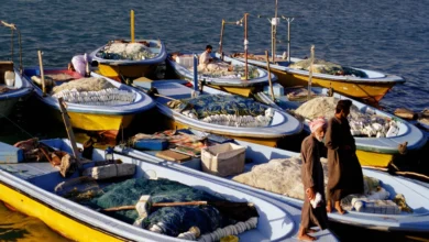 Fishermen Kish Island Iran Middle East