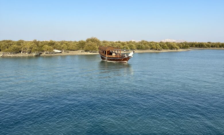 Guide To Qeshm Hara Forest: History, Access, And Wonders 1 Hara Mangrove Forest Protected Area