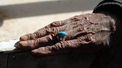 Turquoise From Iran (Persia)