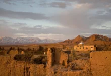 Desert Oasis In Garmeh, Iran