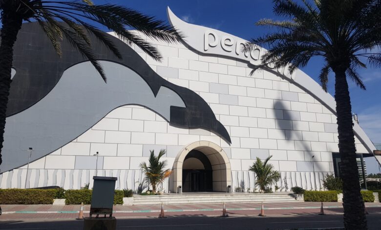 Kish Snow Park: A Winter Wonderland In Tropical Paradise 1 Penguin Snow Park